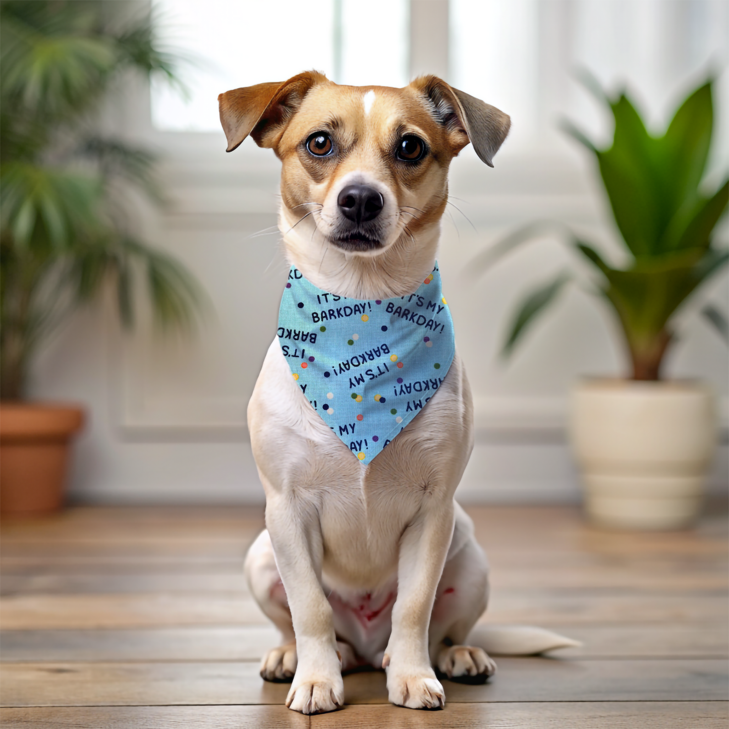 Barkday Celebration Dog Bandana - Blue