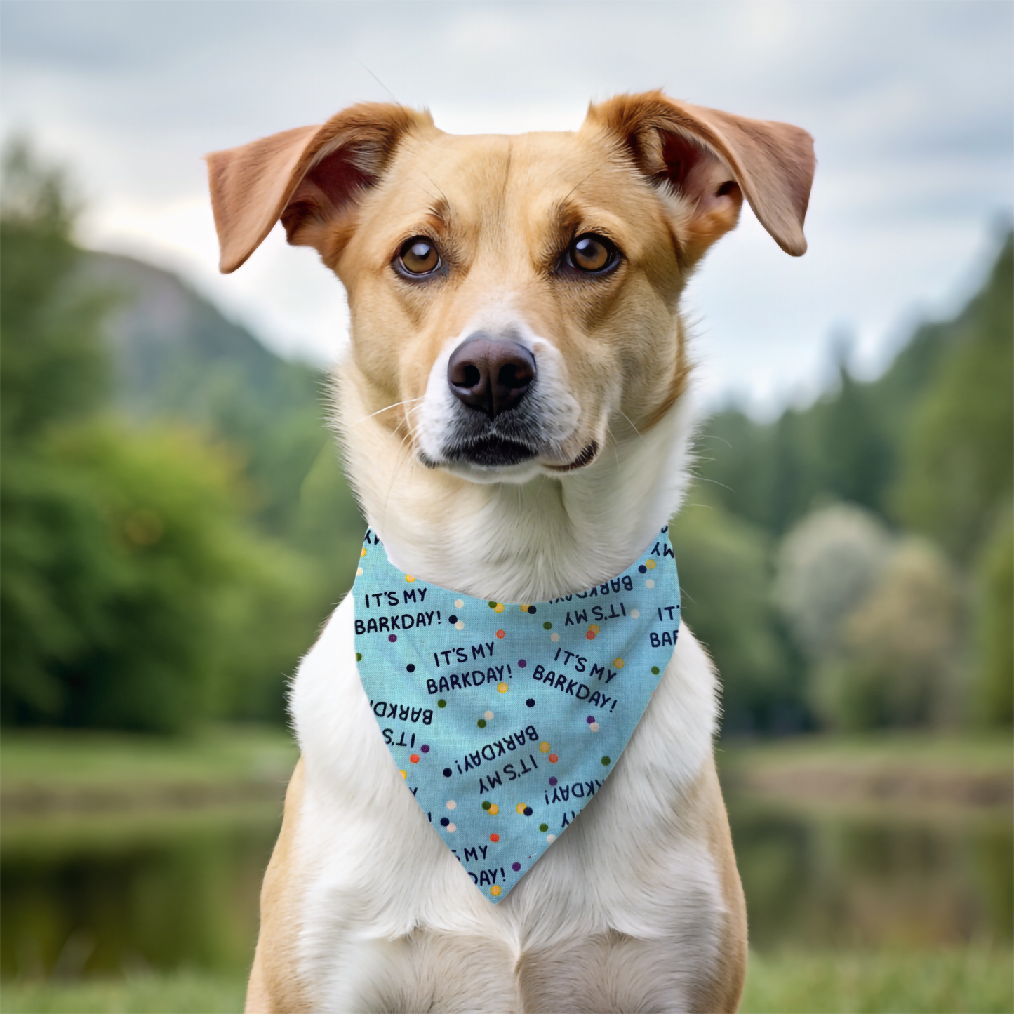 Barkday Celebration Dog Bandana - Blue