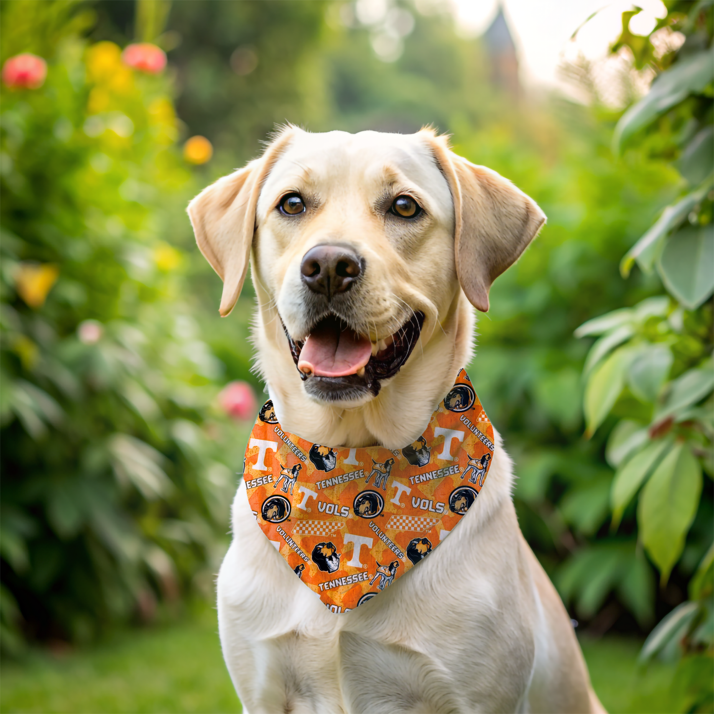 Volunteers Dog Bandanas