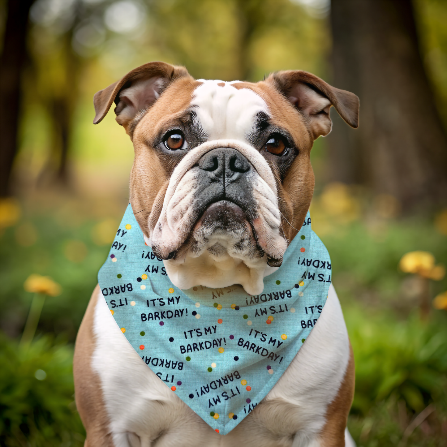 Barkday Celebration Dog Bandana - Blue