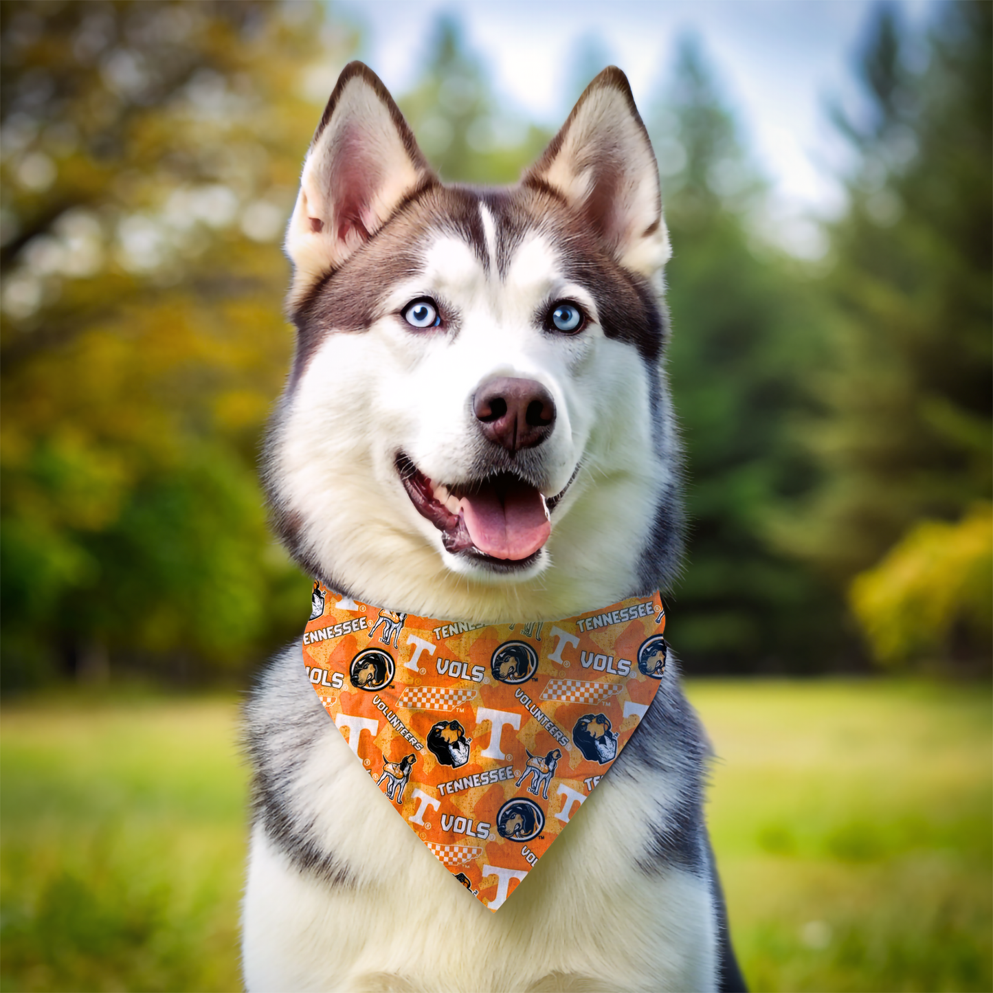 Volunteers Dog Bandanas