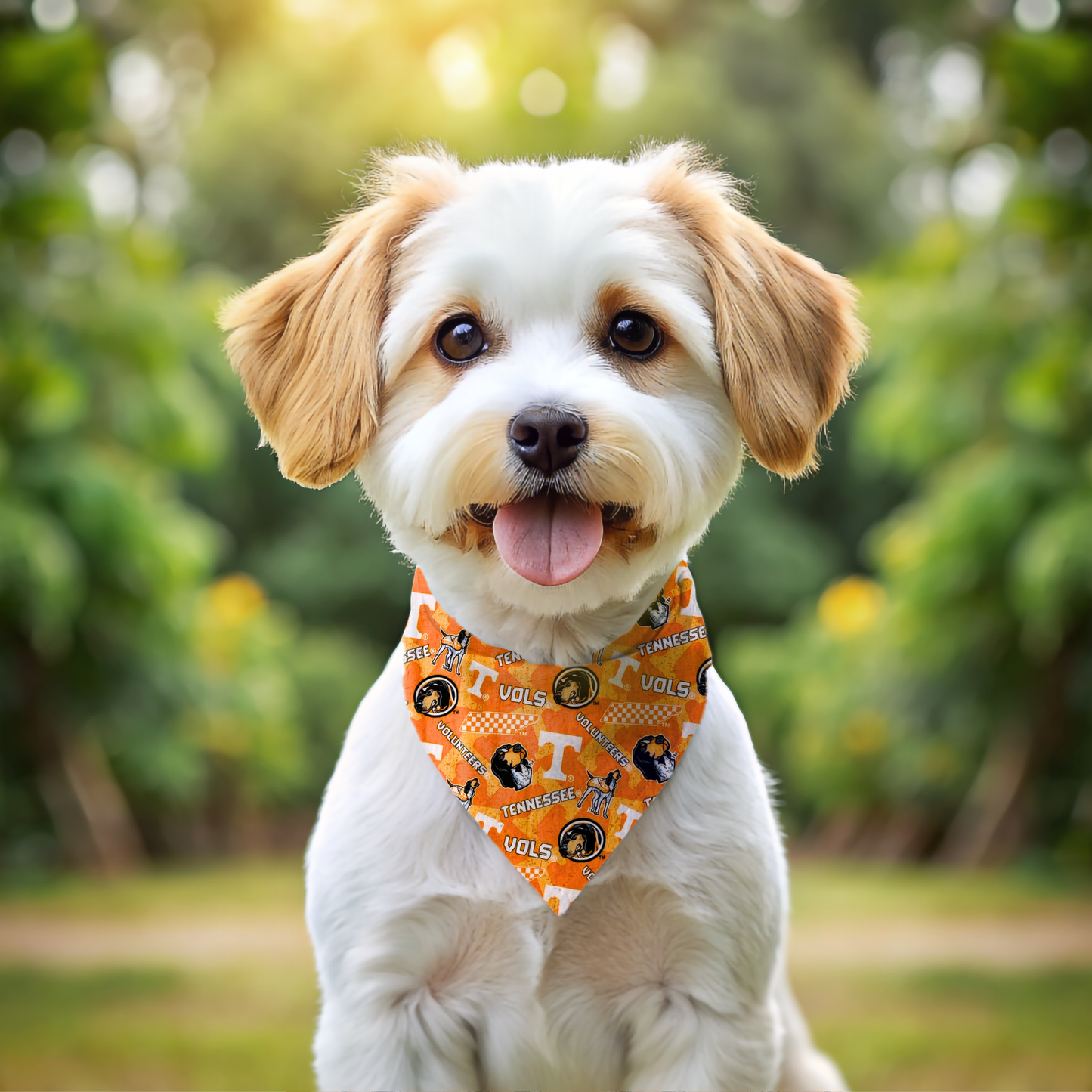 Volunteers Dog Bandanas