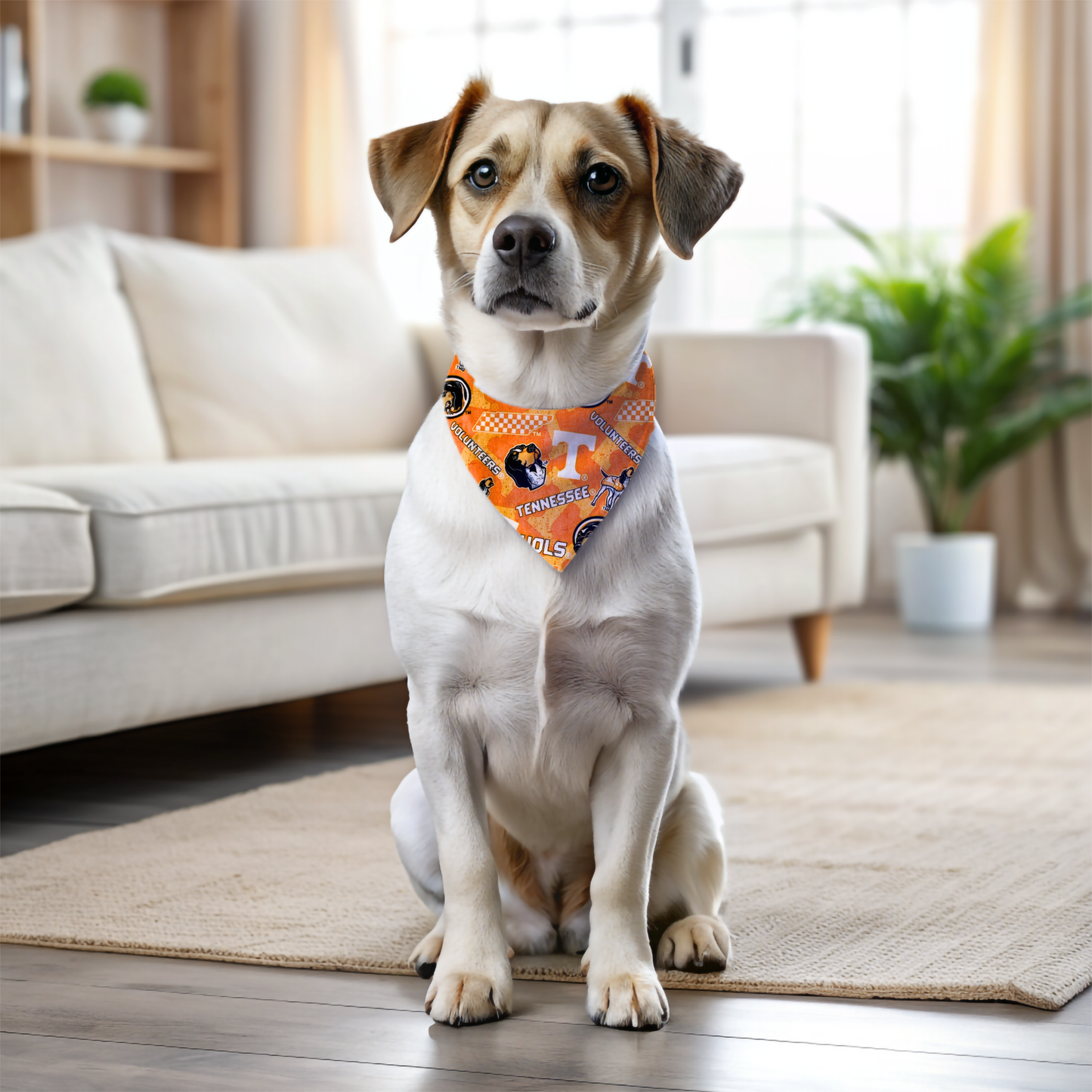 Volunteers Dog Bandanas