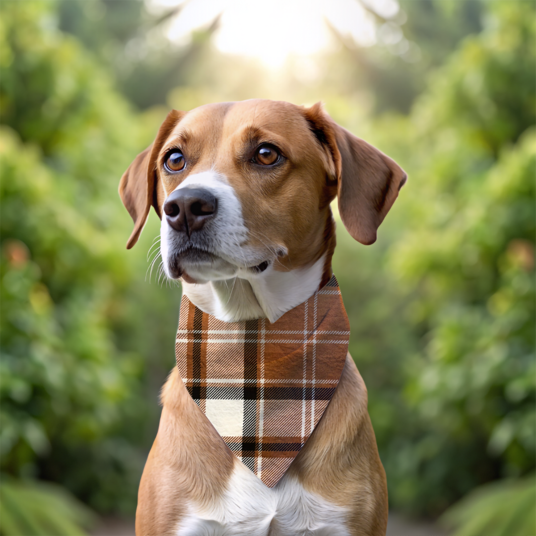 Fall Plaid Dog Bandanas