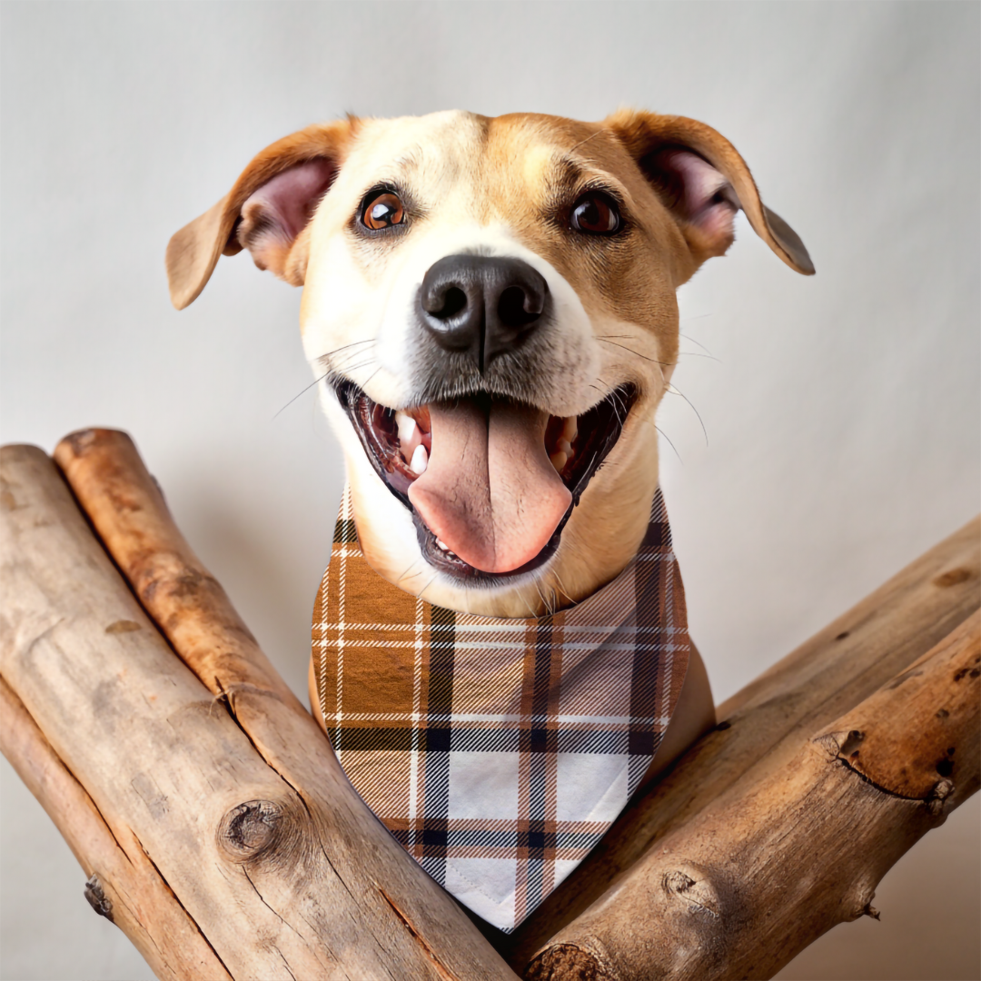 Fall Plaid Dog Bandanas