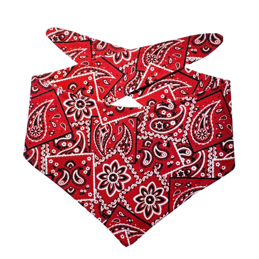 Red Paisley Dog Bandana